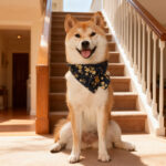 Dog Bandana with