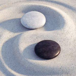 Dual Alignment Blueprint