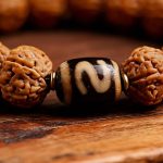 Rudraksha, Cinnabar & Dzi Bead Bracelet