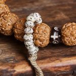 Rudraksha Bracelet with Pixiu and Moonstar Bodhi