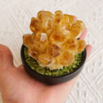 Natural Citrine Cluster