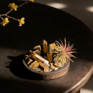 Natural Tiger’s Eye Raw Stone Energy Bowl