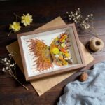 Orange Preserved Flower Butterfly DIY Kit