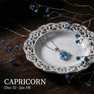 12 Zodiac Guardian Silver and Blue Topaz Necklace - Capricorn