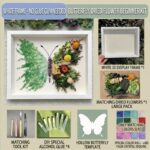 Green Dried Flower Butterfly DIY Starter Kit