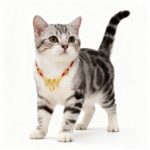 Lucky Red Gold Auspicious Pet Collar