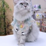 Panda Embroidery Pet Shawl Bib