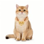Lucky Red Gold Auspicious Pet Collar