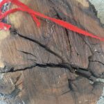 Thunderstruck Jujube Wood Pixiu Lucky Pendant